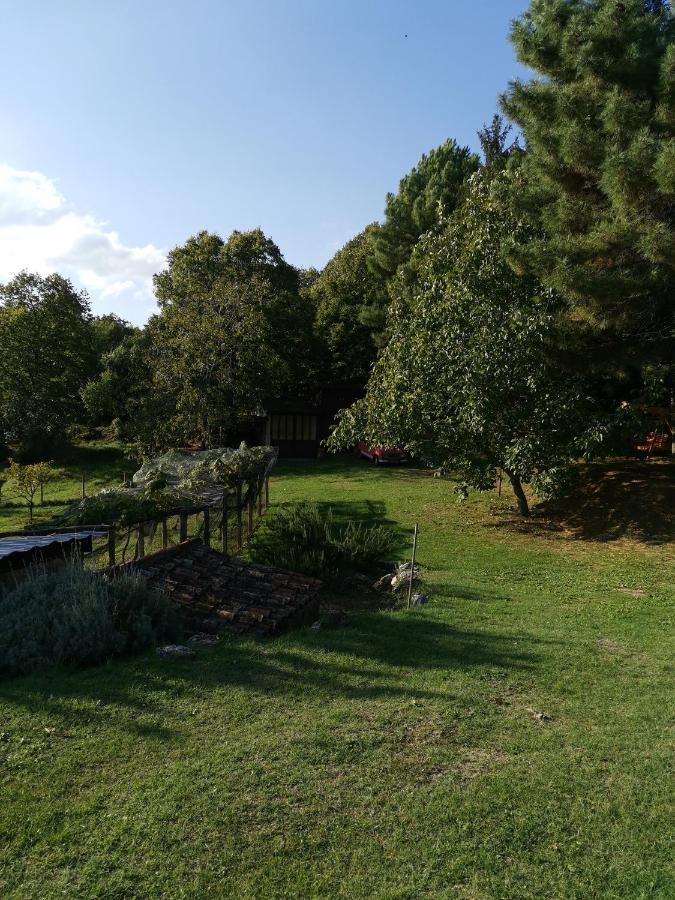 Apartman Marijeta Mošćenička Draga Exterior foto
