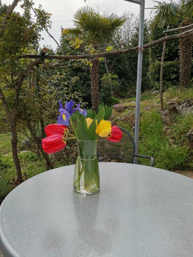 Apartman Marijeta Mošćenička Draga Exterior foto